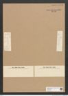 Diatomeae indet. Zeichnungen Sammlung Grunow Nr. 6269 (NHMW-BOT-W0374873)